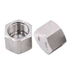 Thread Type NPT BSP BSPT NXF 2205/2507 Duplex Stainless Steel 314/306 Pipe Fitting Screwed Hex Cap NPT/BSP Threaded Cast Technics