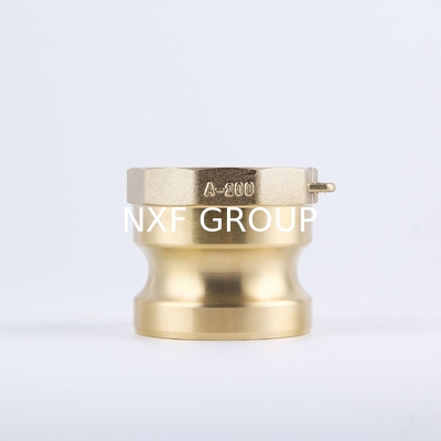 Professional Brass Type D Sand Casting Female BSPP Camlock Fittings for Precision and Optimal Functionality