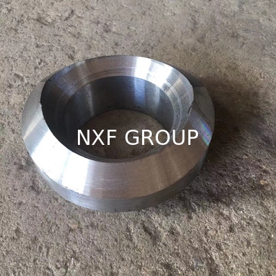 NXF ASTM B435 B572 5754 5798 Alloy X/2.4665/N06002  DN15-1200 SCH STD-XXS Pipe Fitting Butt Welded Olet